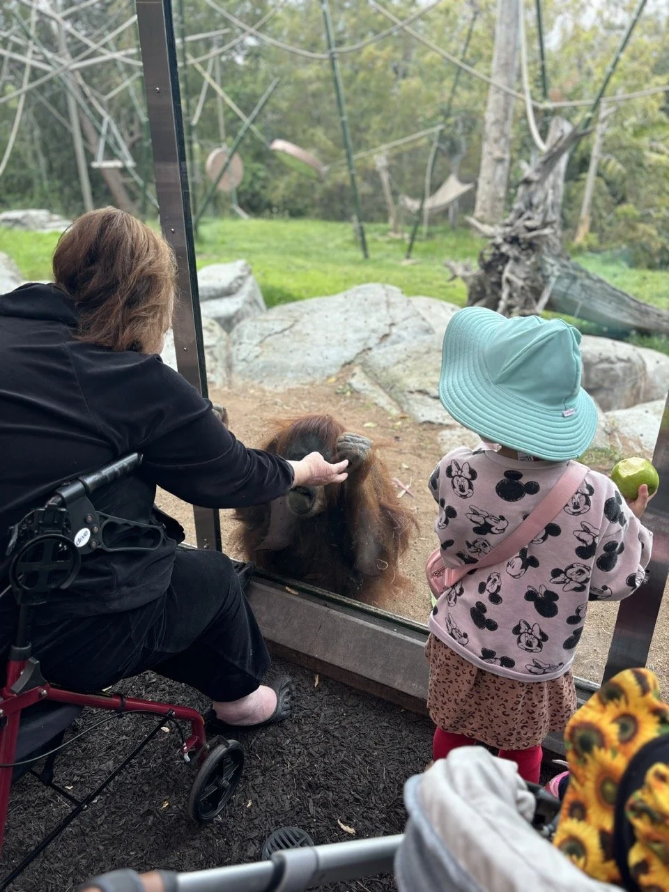 San Diego Zoo Orangutan kids .jpeg