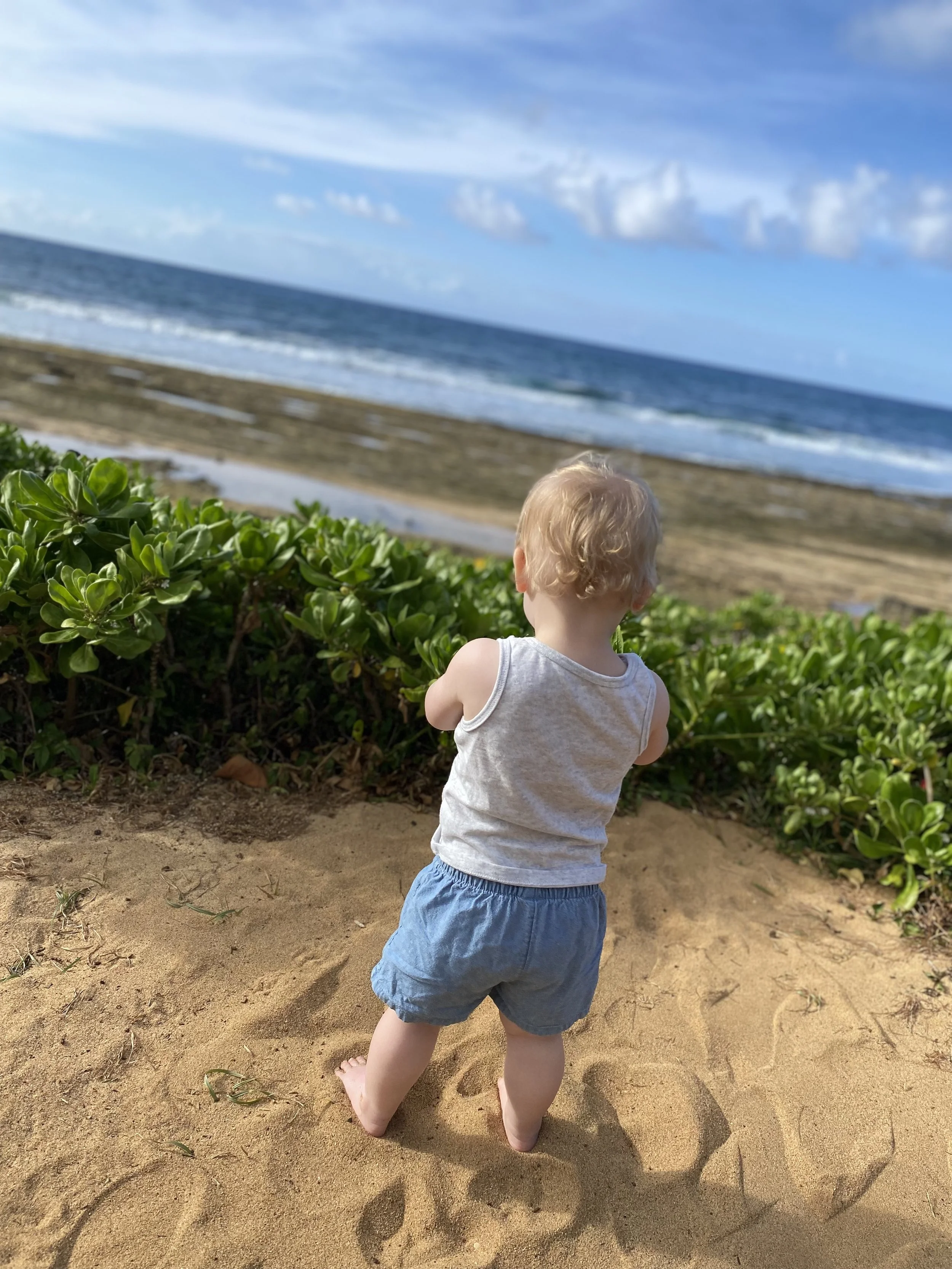 Kuaui-Walking the grounds of the Sheraton-easy path.jpeg