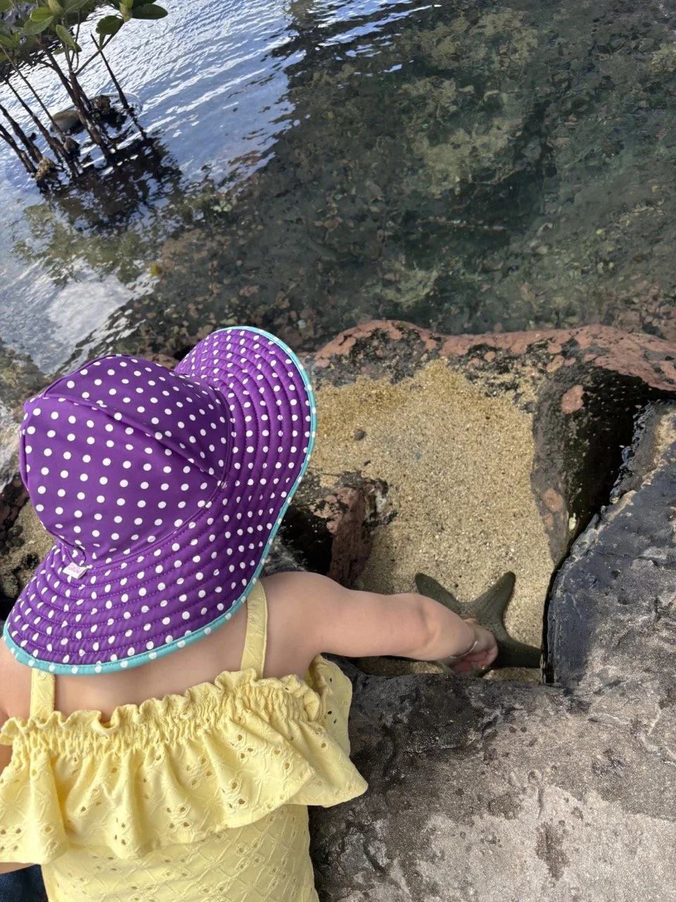 Maui Aquarium of the Pacific Touch Tank Toddler.jpeg