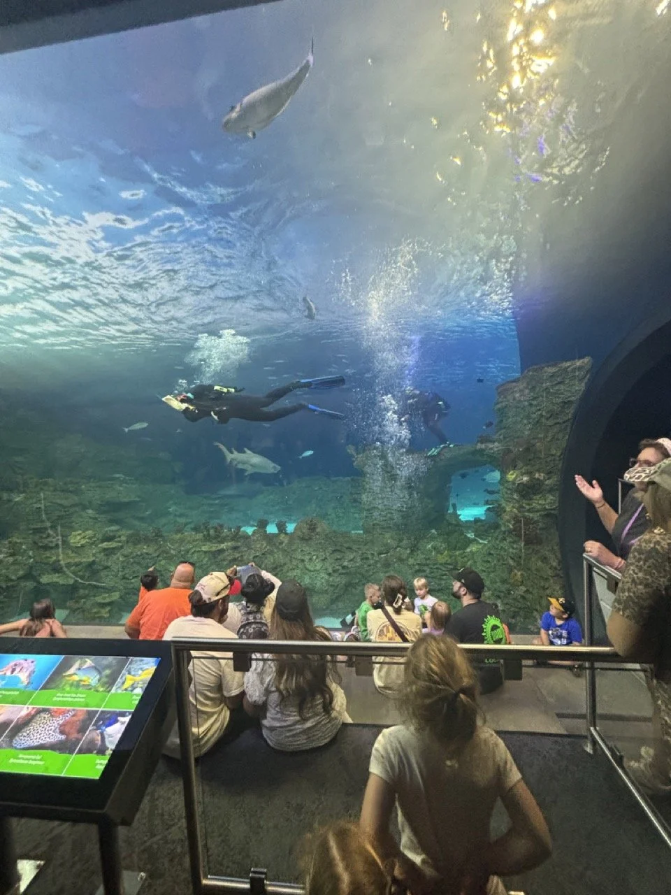 Kansas City Zoo Scub tank  aquarium sisters guests.jpeg