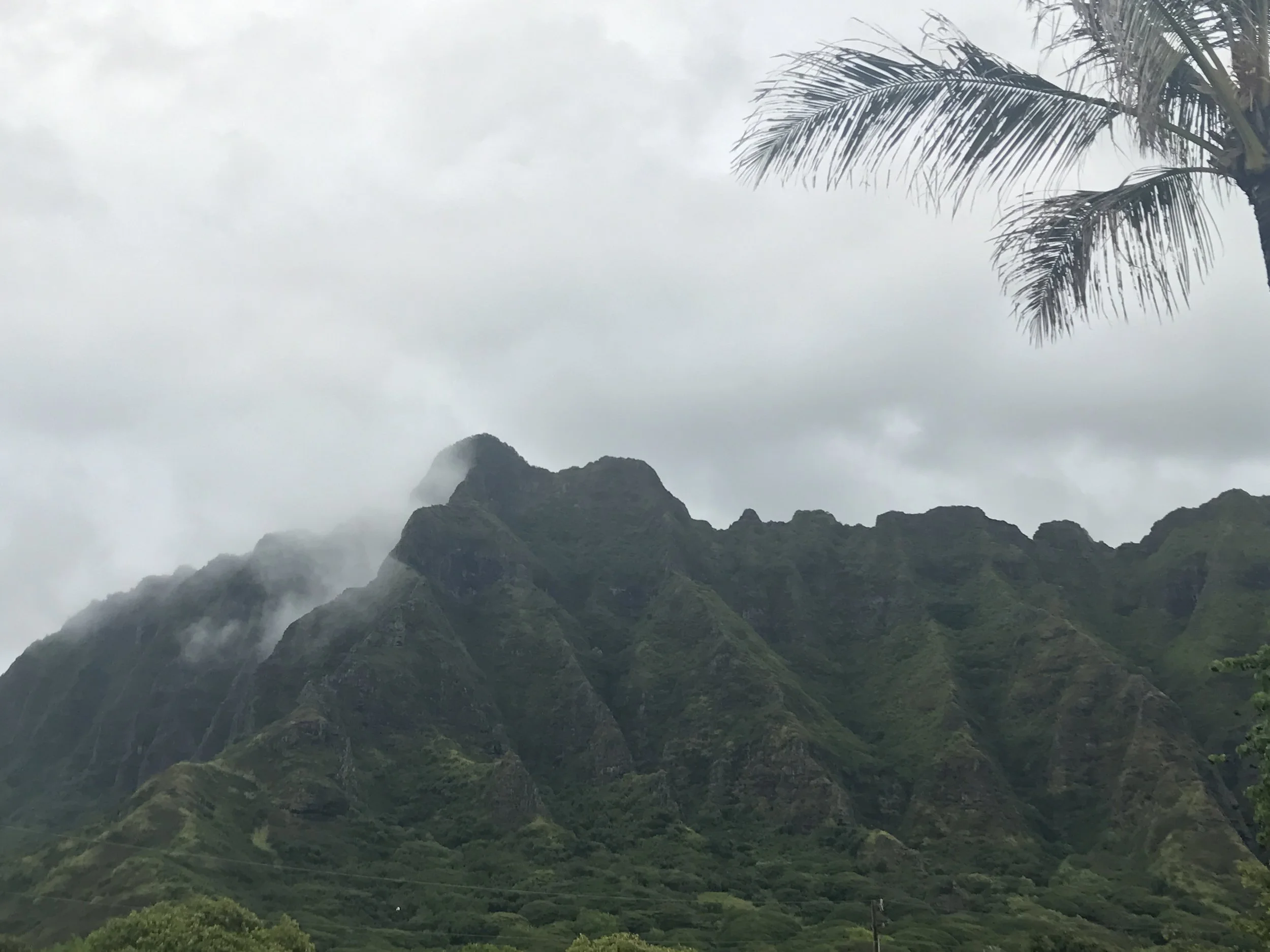 Oahu-Far side of Island-Green Mountains.JPG