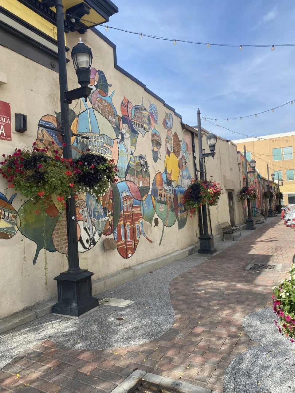 Fort Collins Artwork Downtown.jpeg