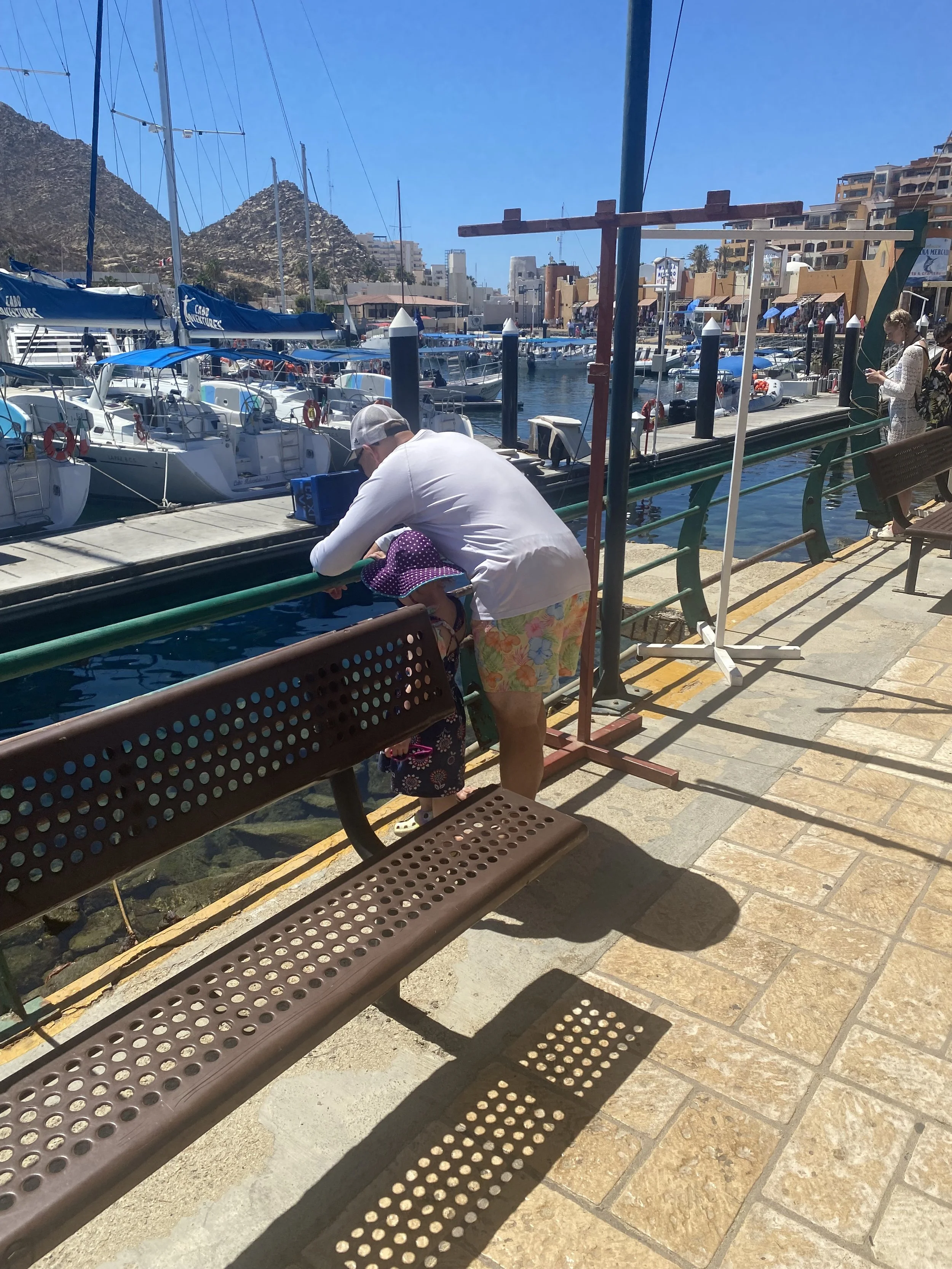 Mexico-Cabos San Lucas Pier.jpeg