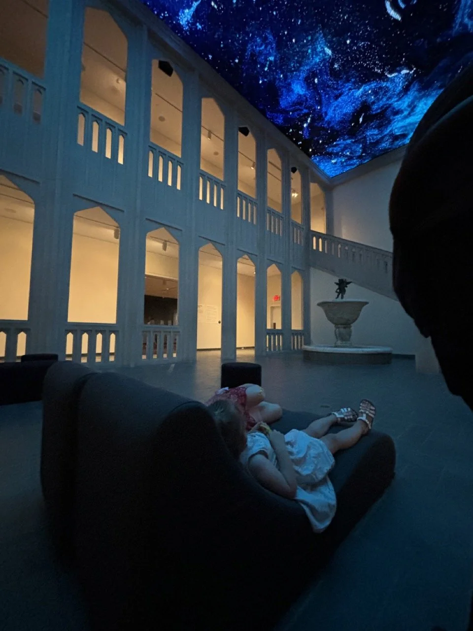 Newfields Museum Art Indianapolis Ceiling Projection Stroller Kids.jpeg