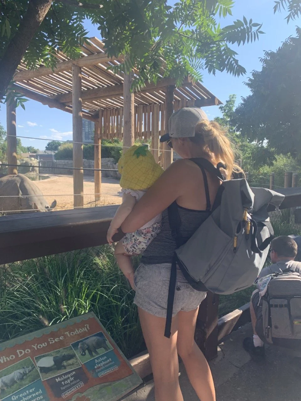 Denver Zoo Rhino.jpeg