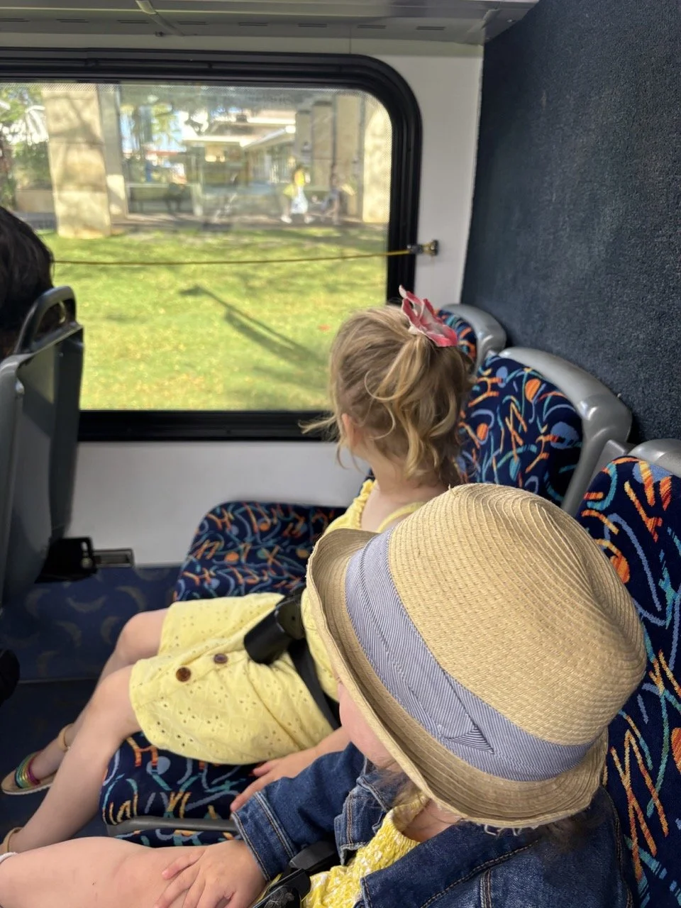 Maui Public Bus Ride Kids Ride Free Views.jpeg