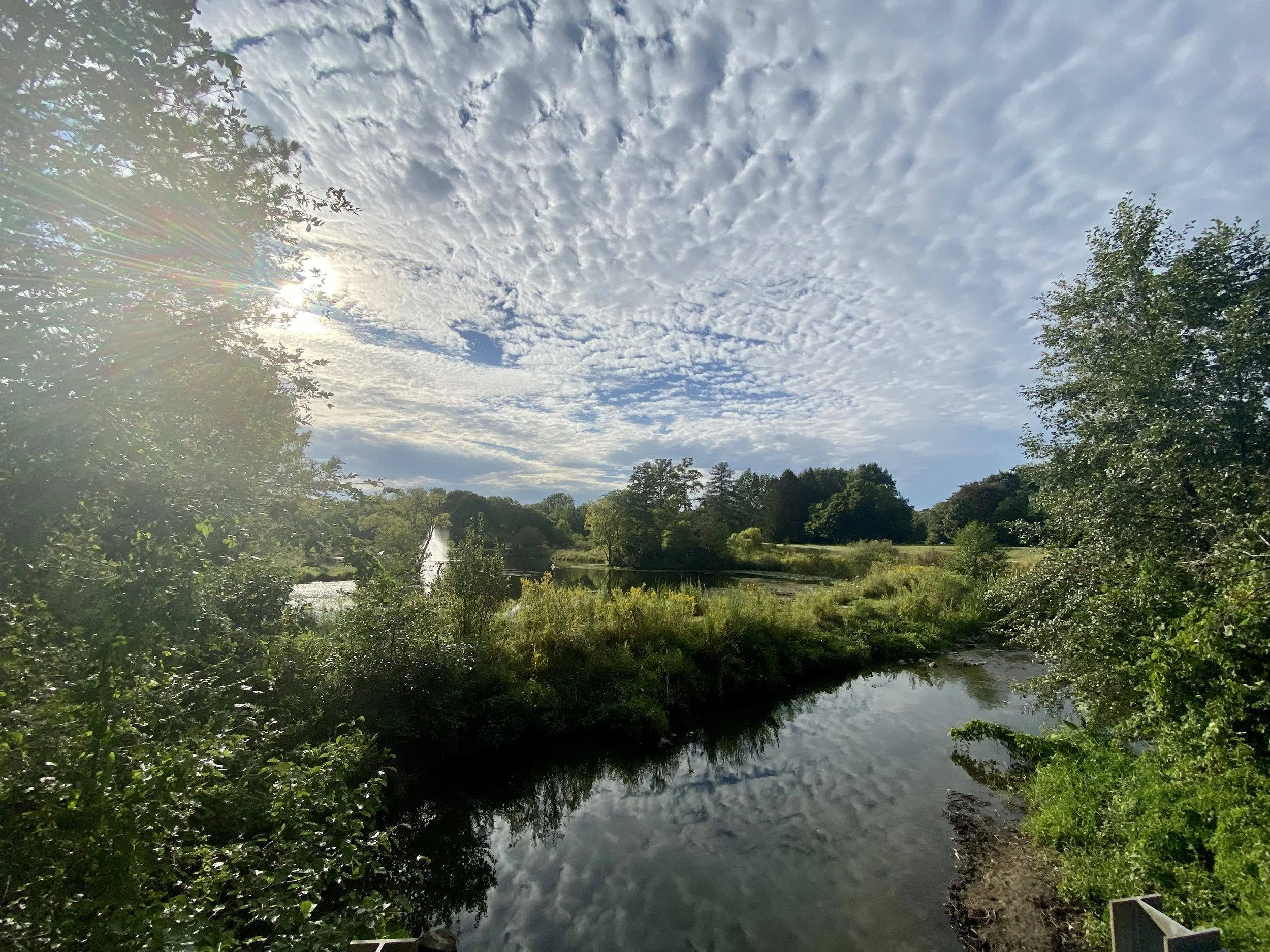 Ohio-Toledo Botanic Garden-River.jpeg