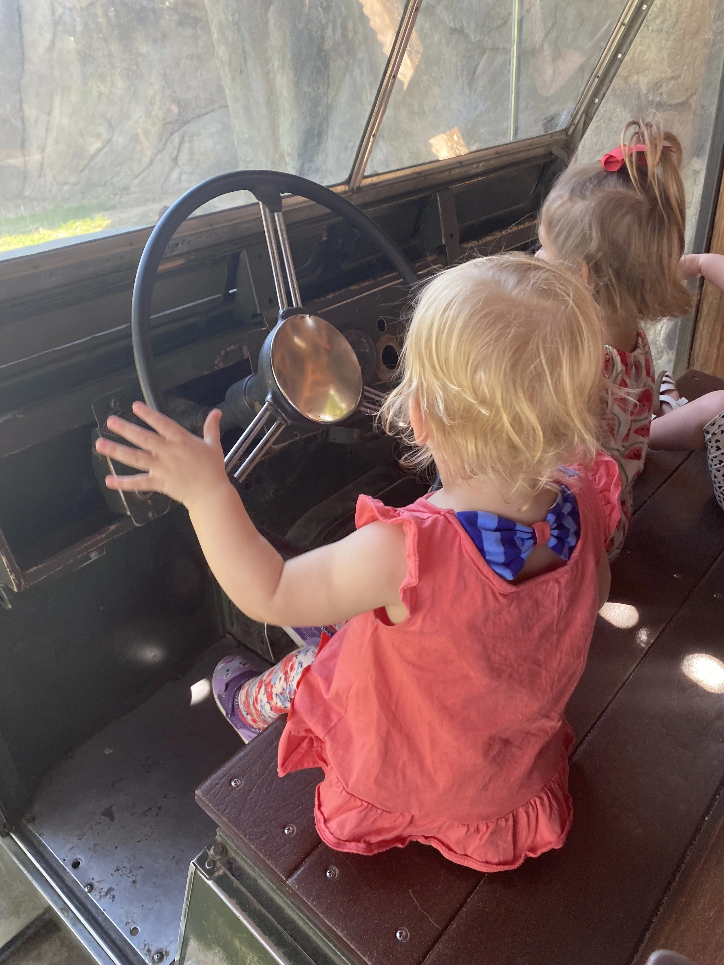 Fresno Chaffee Zoo-Jeep Drive.jpeg