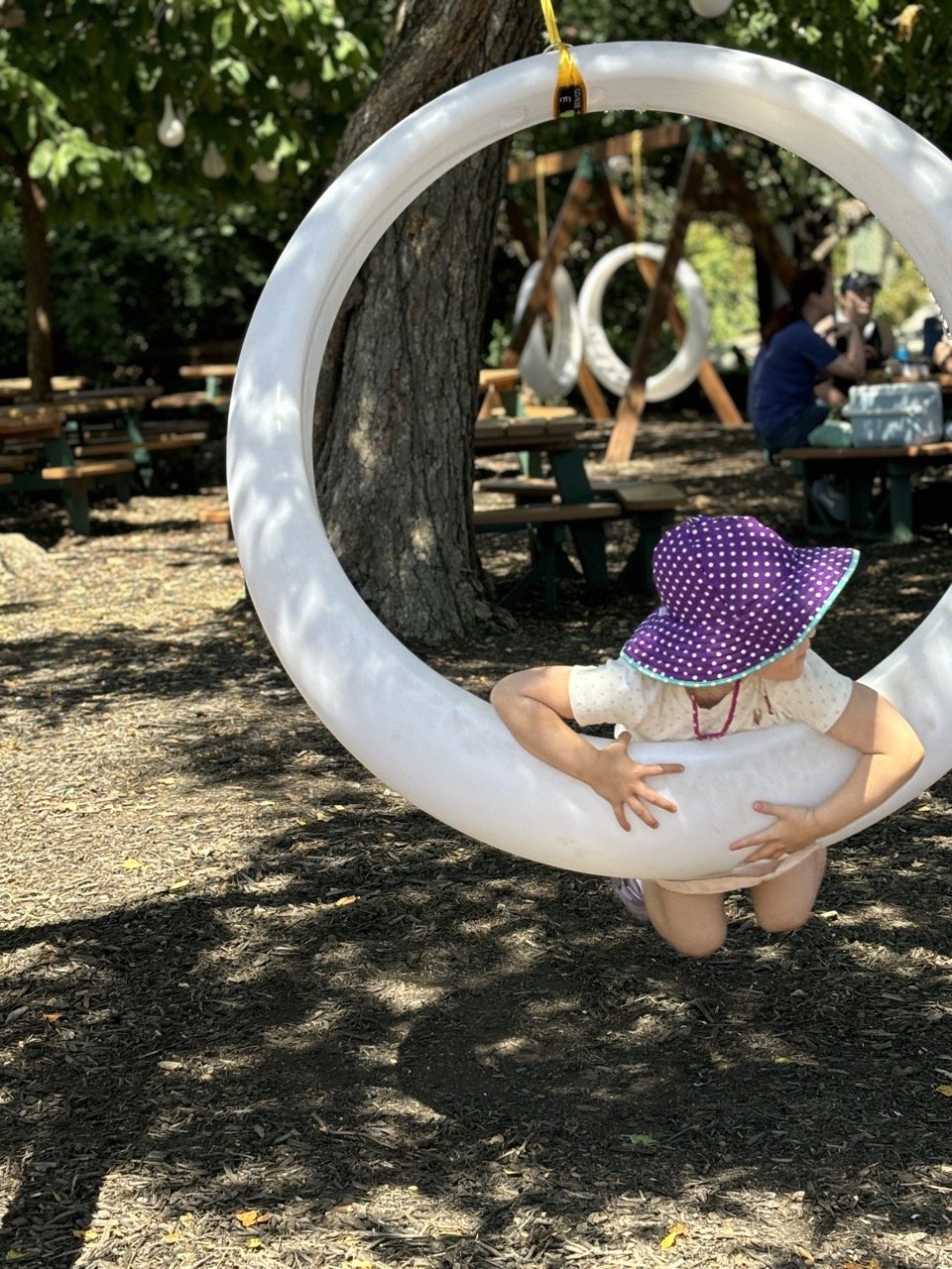 Kansas City Zoo circle swings.jpeg