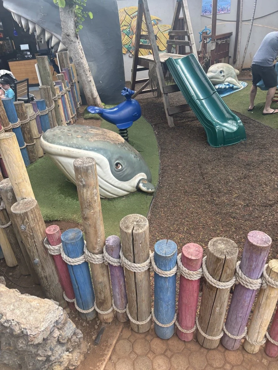 Maui Aquarium of the Pacific Playground.jpeg