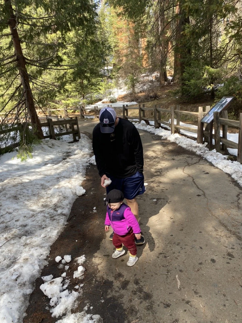 Sequoia National park Baby Hike.jpeg