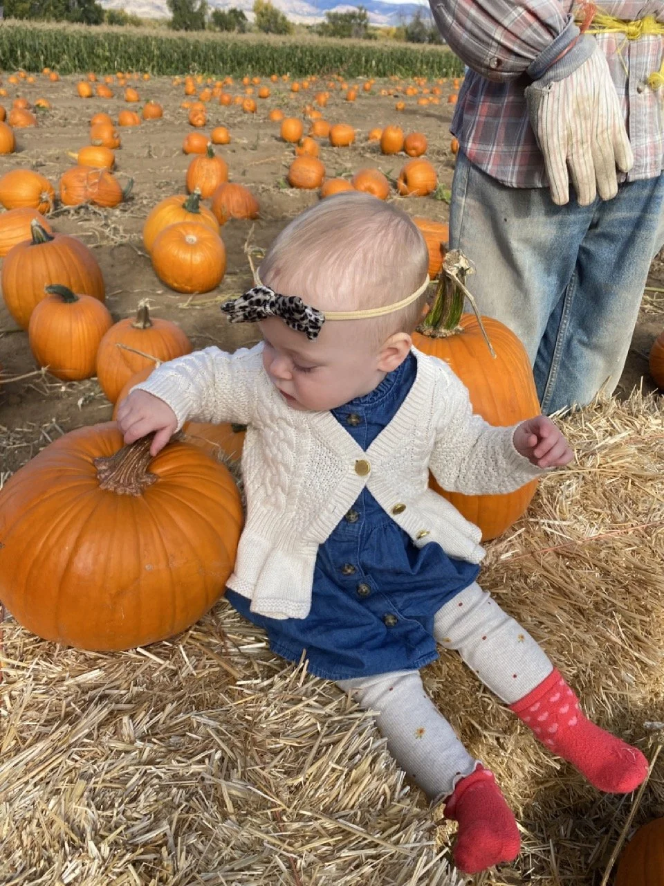 Colorado Pumpkin Patch Baby.jpeg