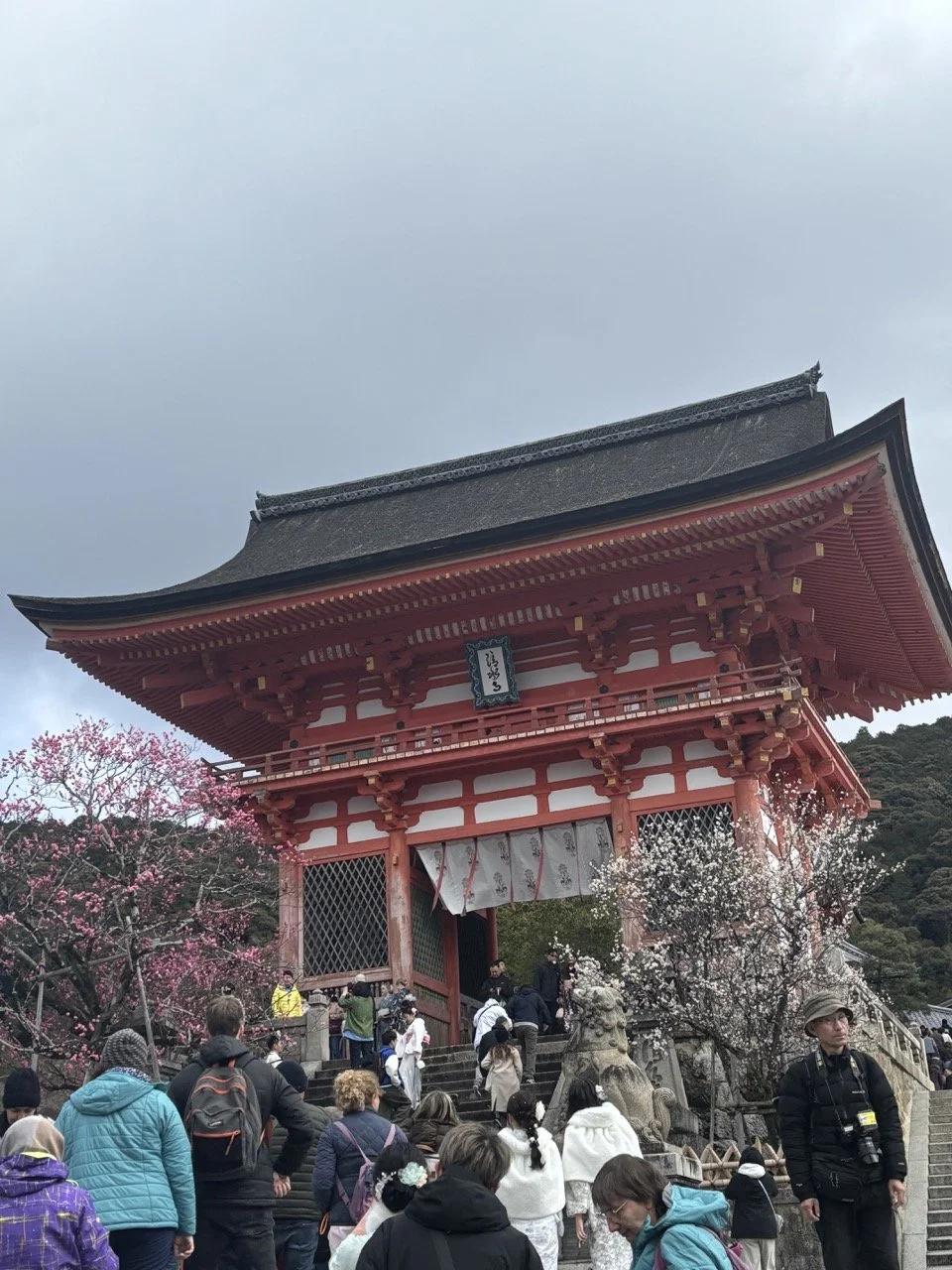 Japan Kyoto Main Temple.jpeg