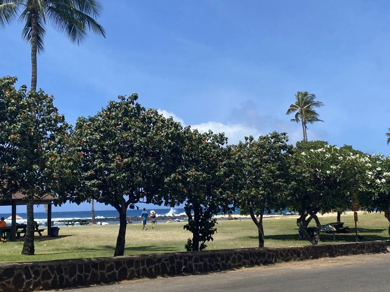Kuaui Beach Park.jpeg