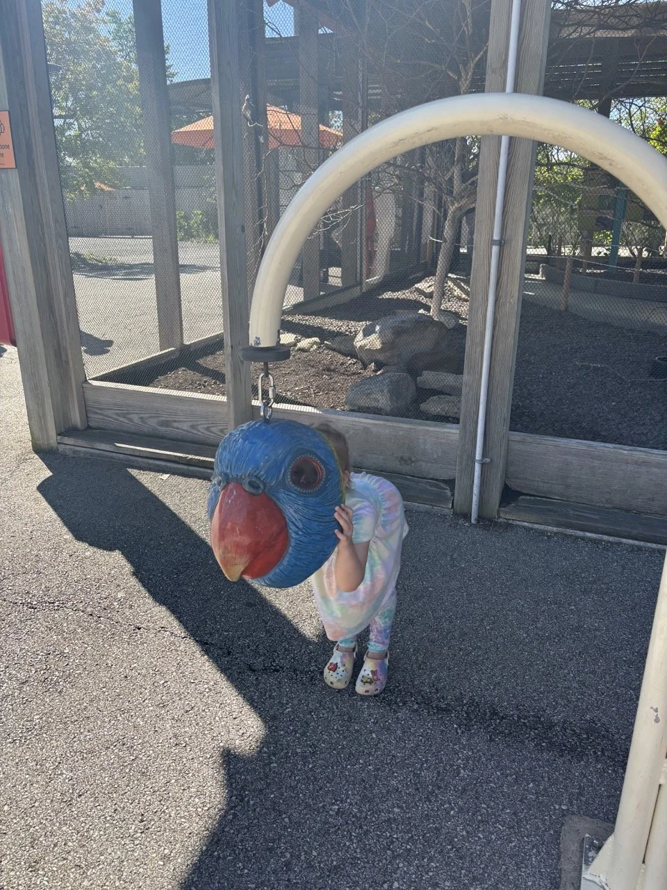 Indianapolis Zoo-Bird masks in lorakeet exhibit.jpeg
