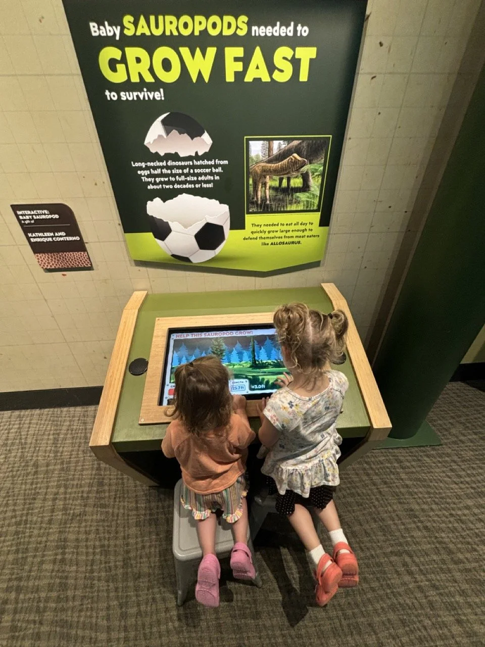 Indianapolis Children_s Museum Dino Discovery interactive play.jpeg