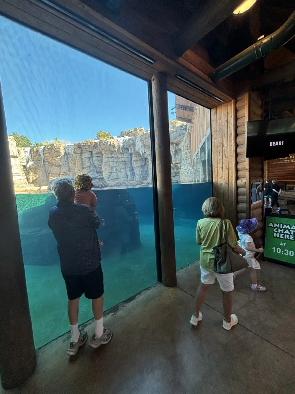 Kansas City Zoo Polar Bear Exhibit Kids and Grandparents.jpeg