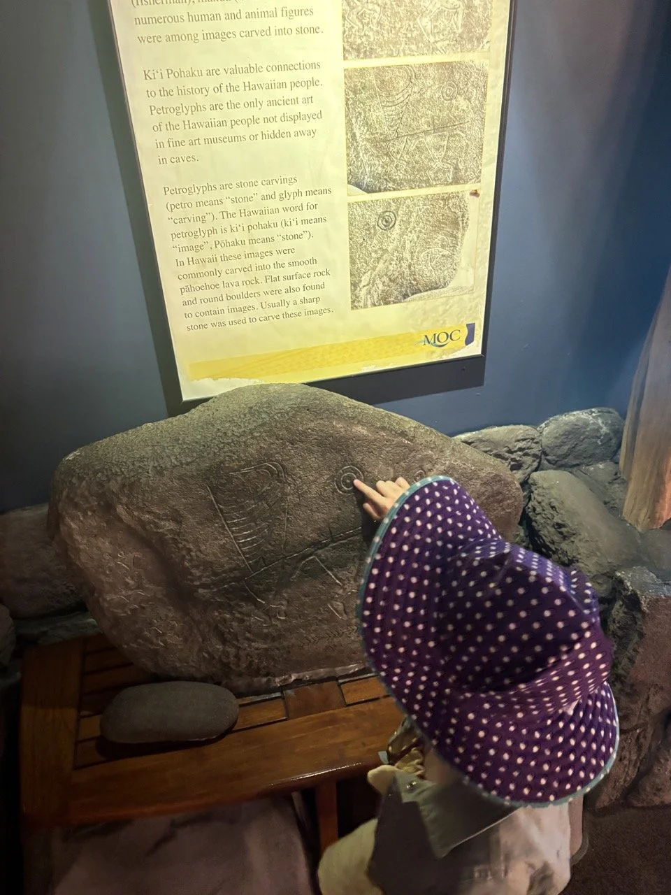 Maui Aquarium of the Pacific Hawaii History Moana.jpeg