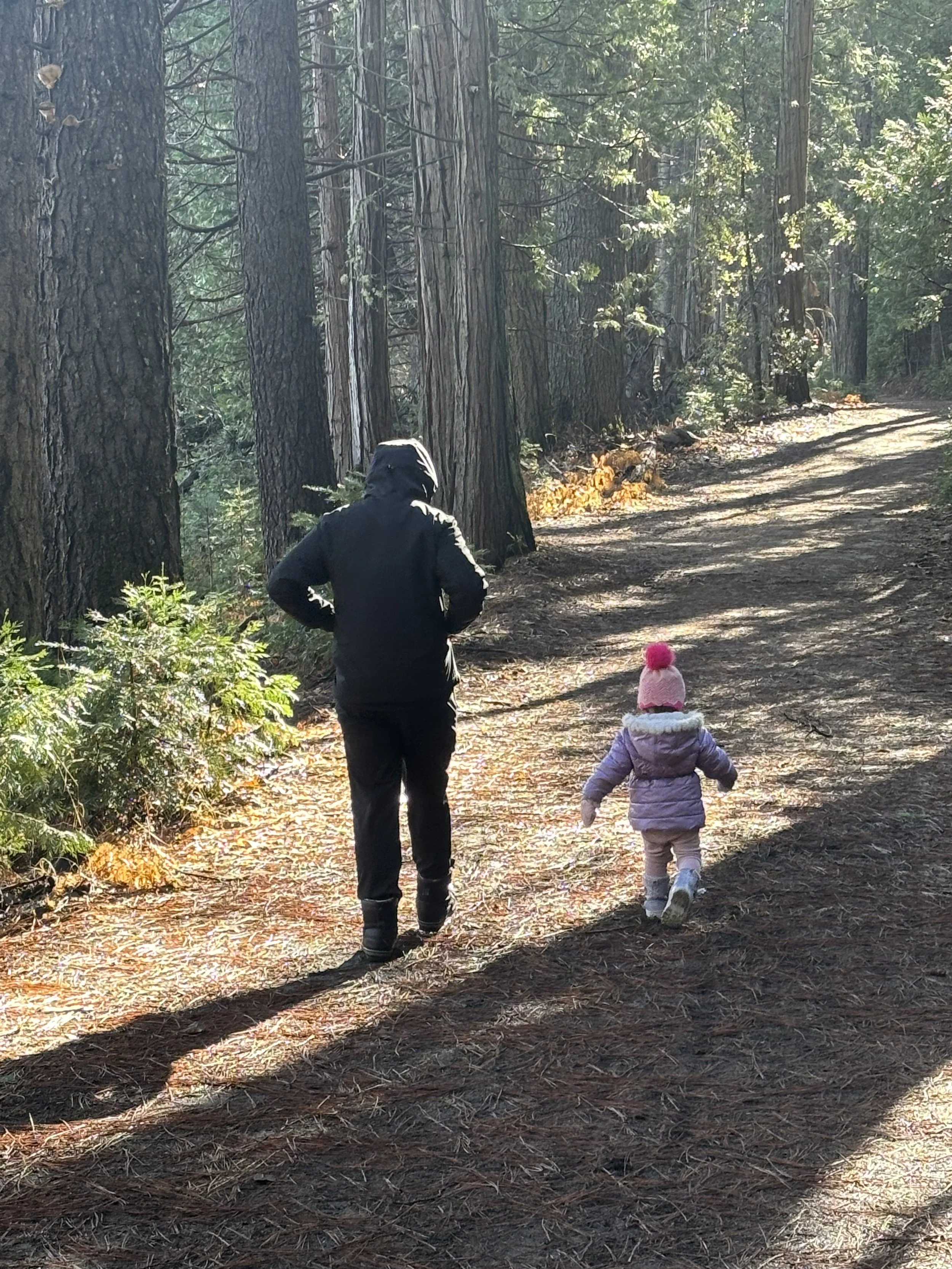 Yosemite Wawona Mariposa Hike Toddler Redwood Trees.jpeg