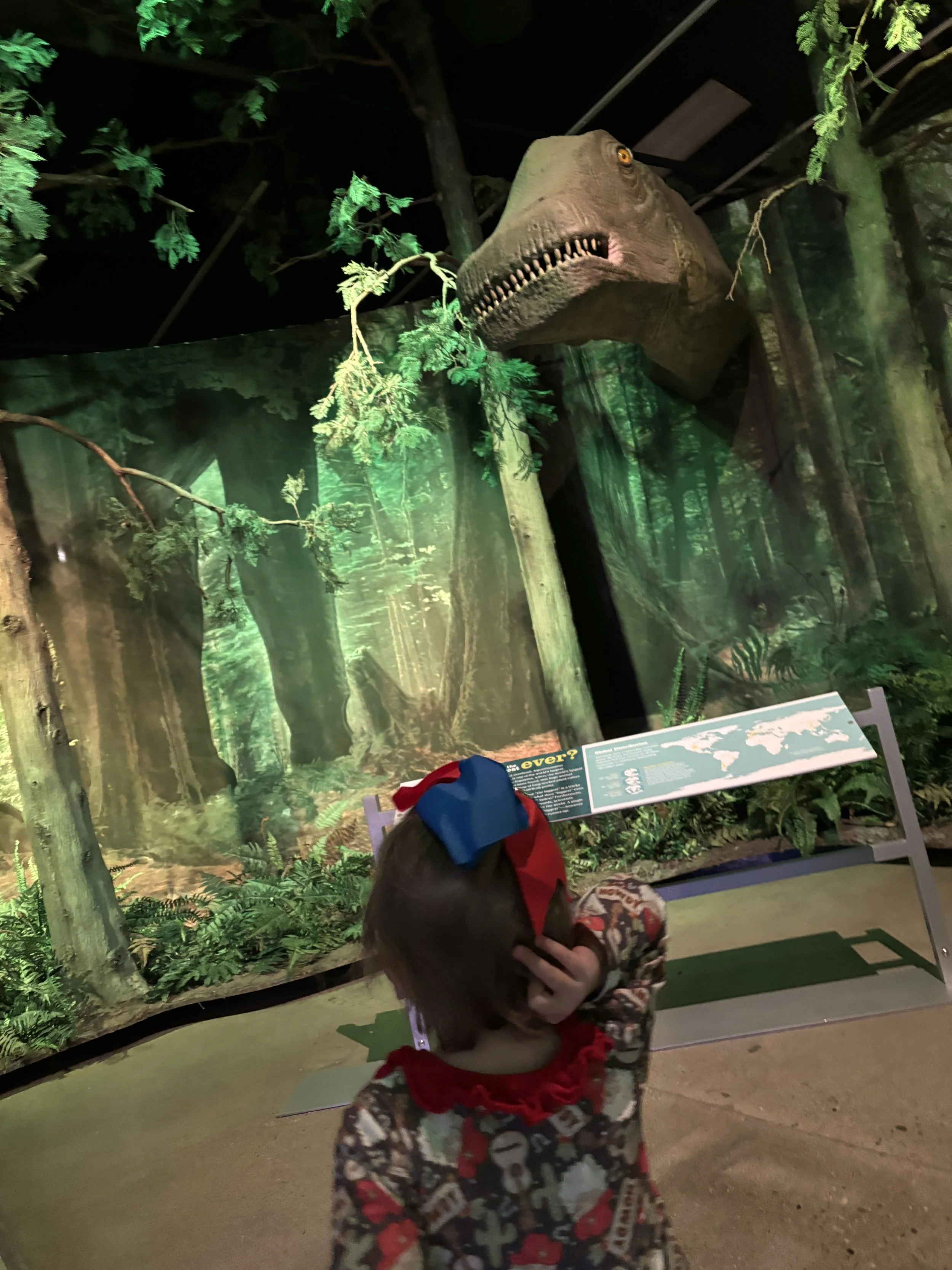 Boise Childrens Museum Dinosaur Forest.jpeg