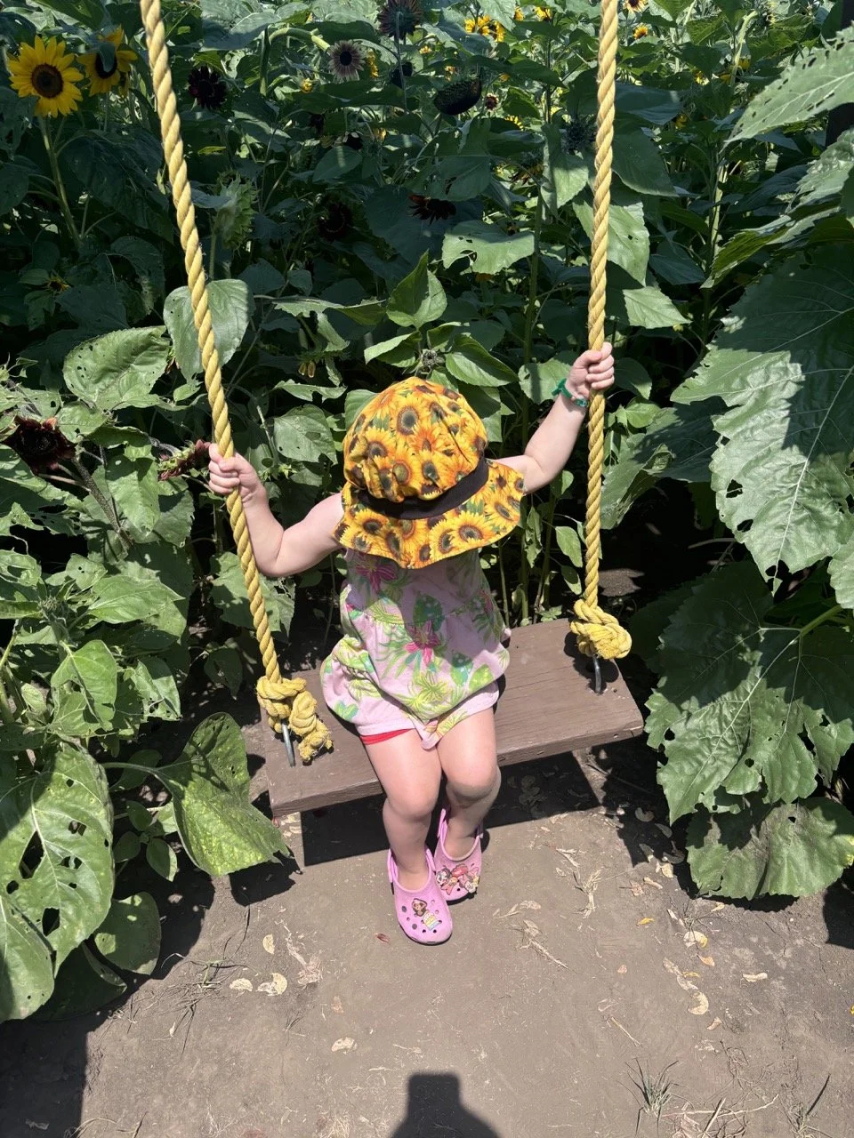 Rader Farms Sunflower Fields Swing Toddler.jpeg