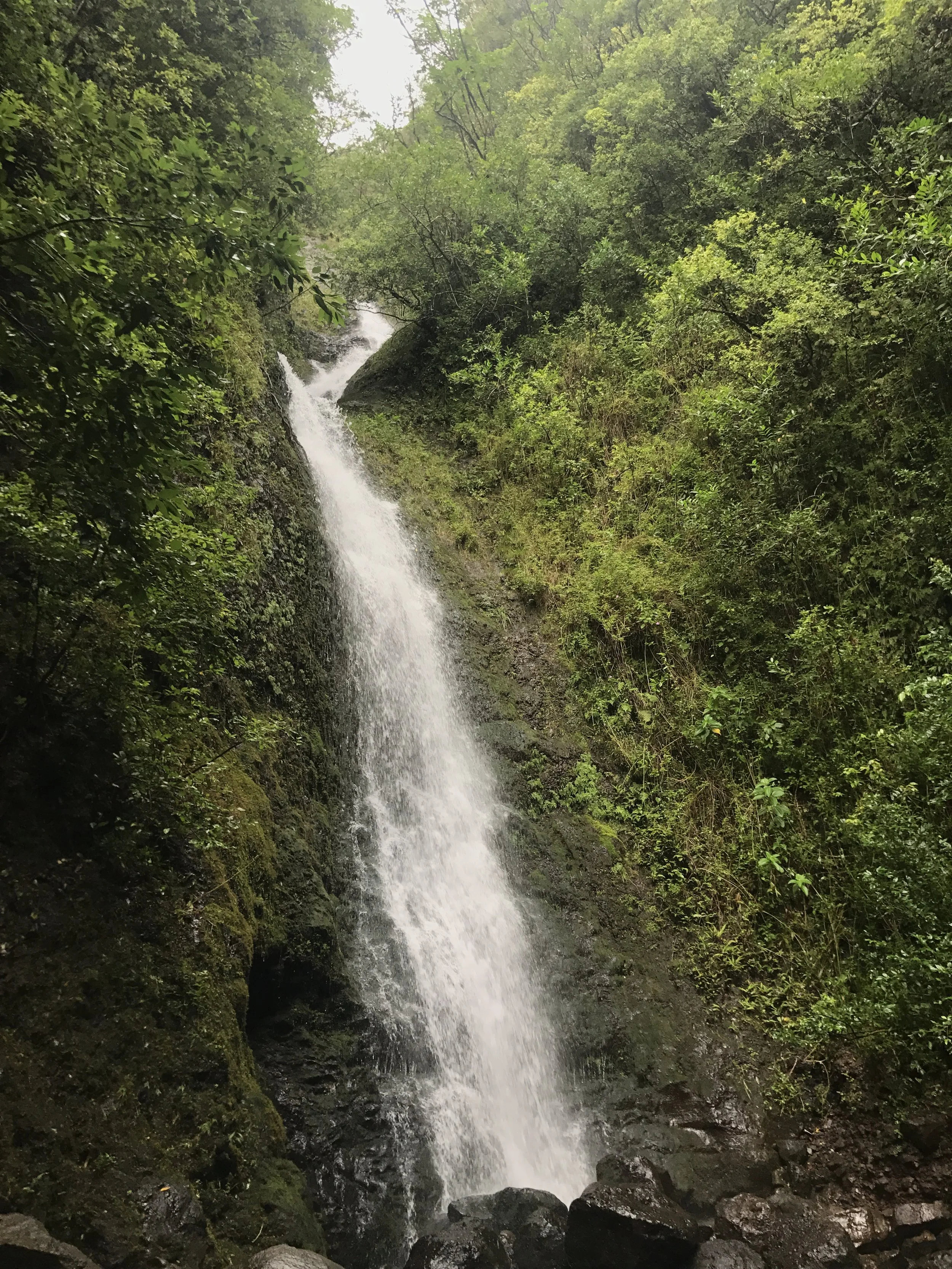 Oahu-Rainbow Falls Hike.JPG