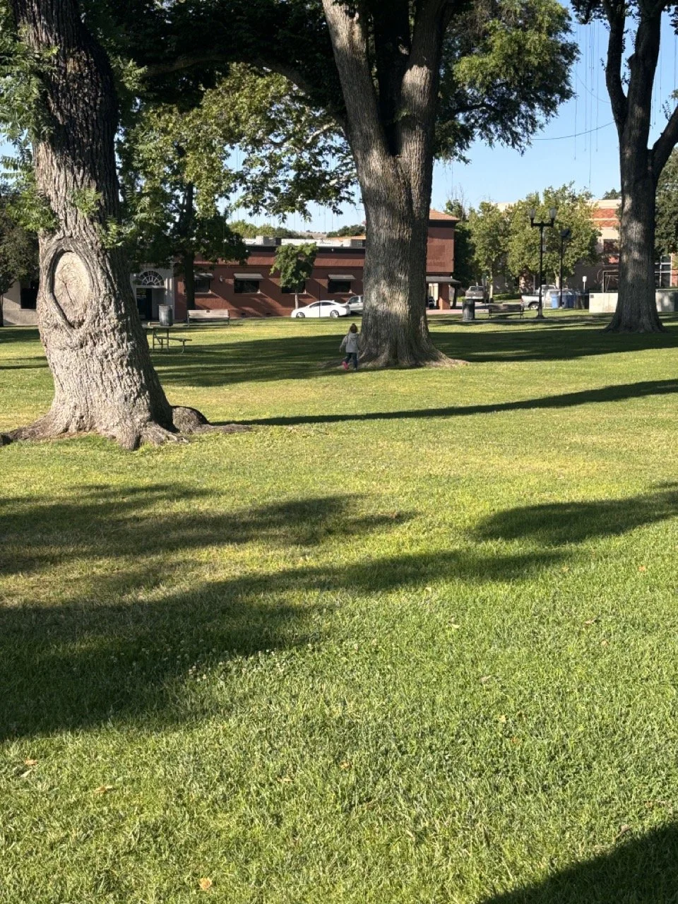Paso Robles downtown town square park.jpeg