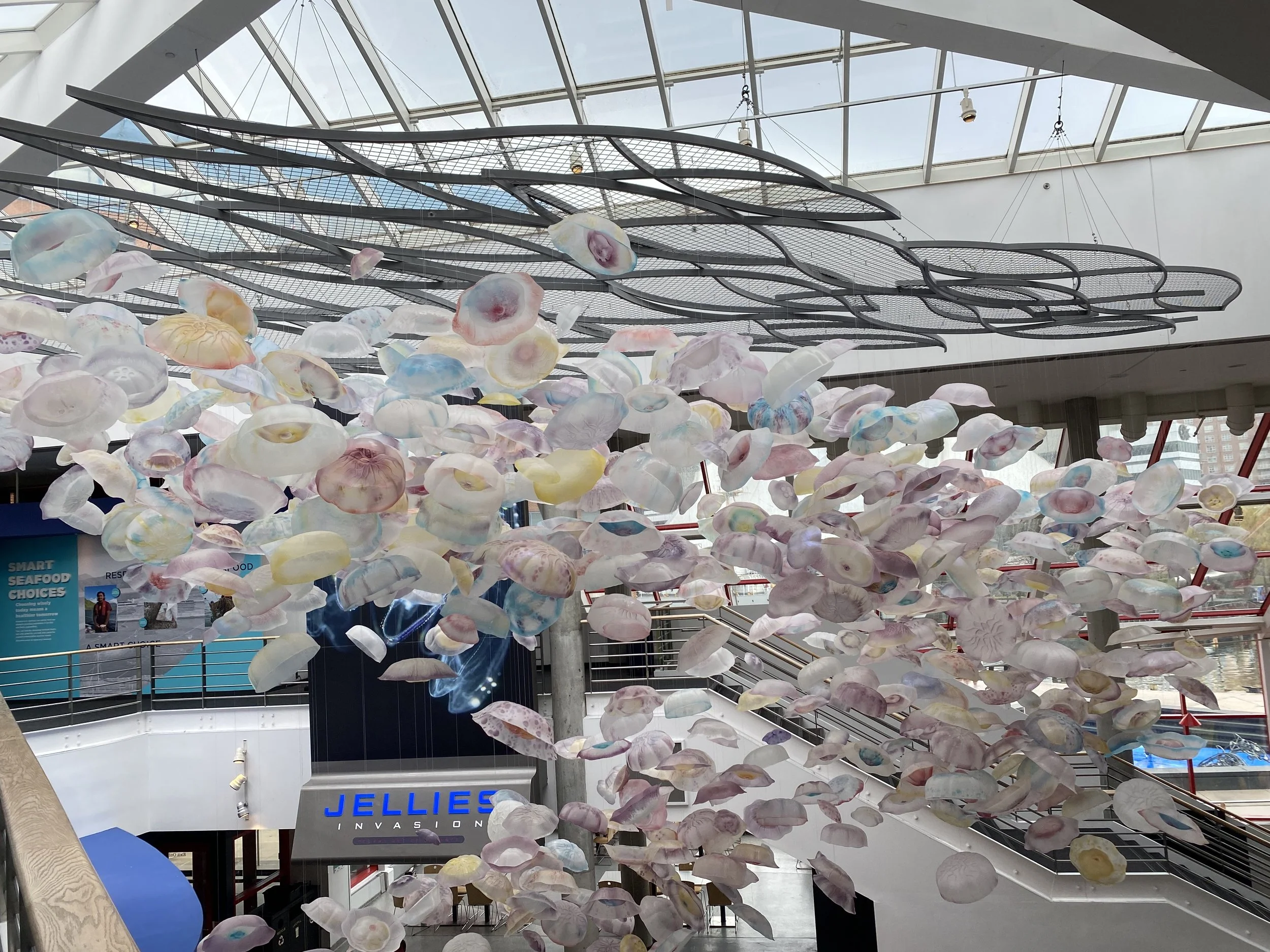 National Aquarium Atrium.jpeg