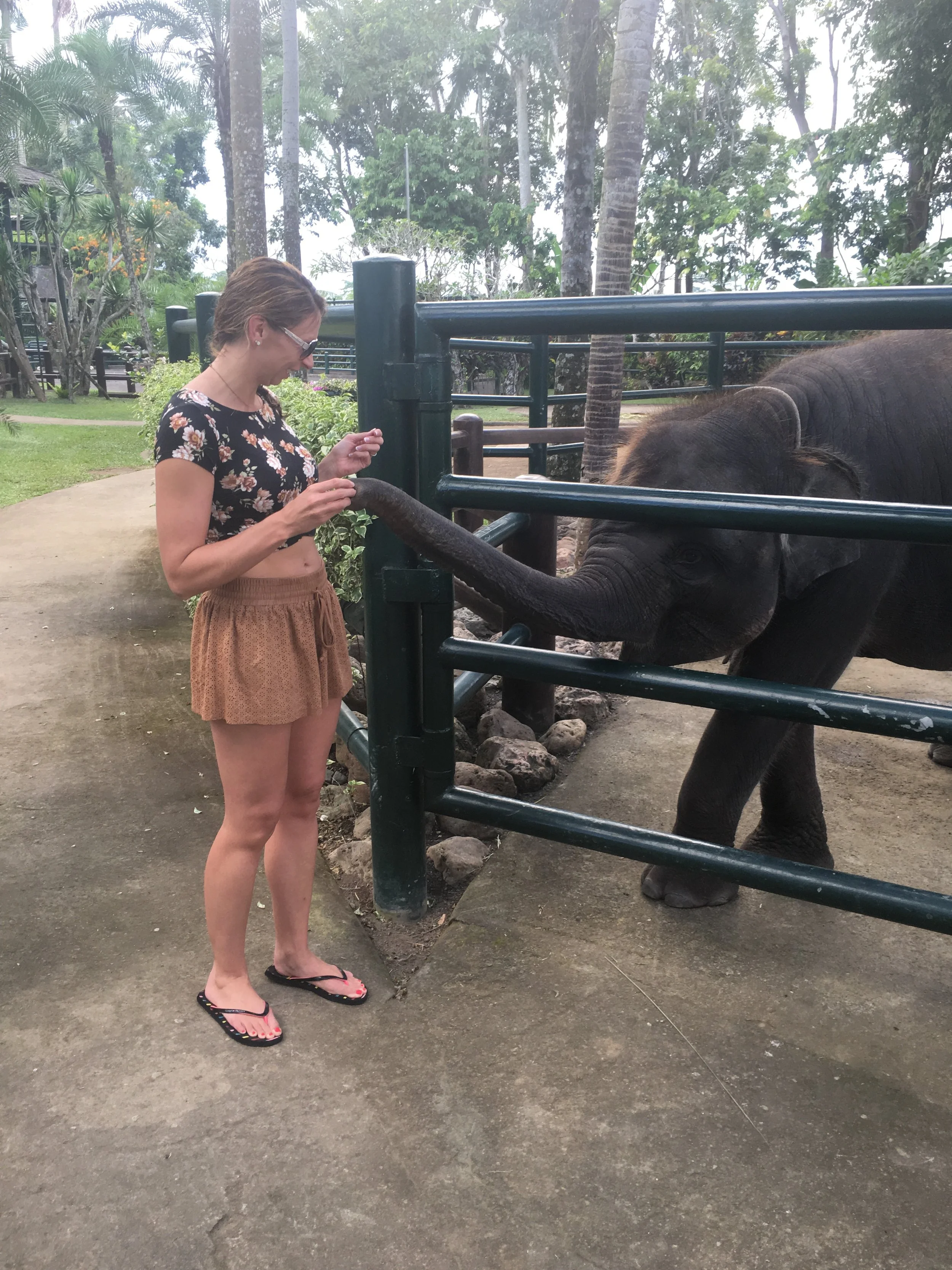 Indonesia-Bali Baby Elephant at Sanctuary.JPG