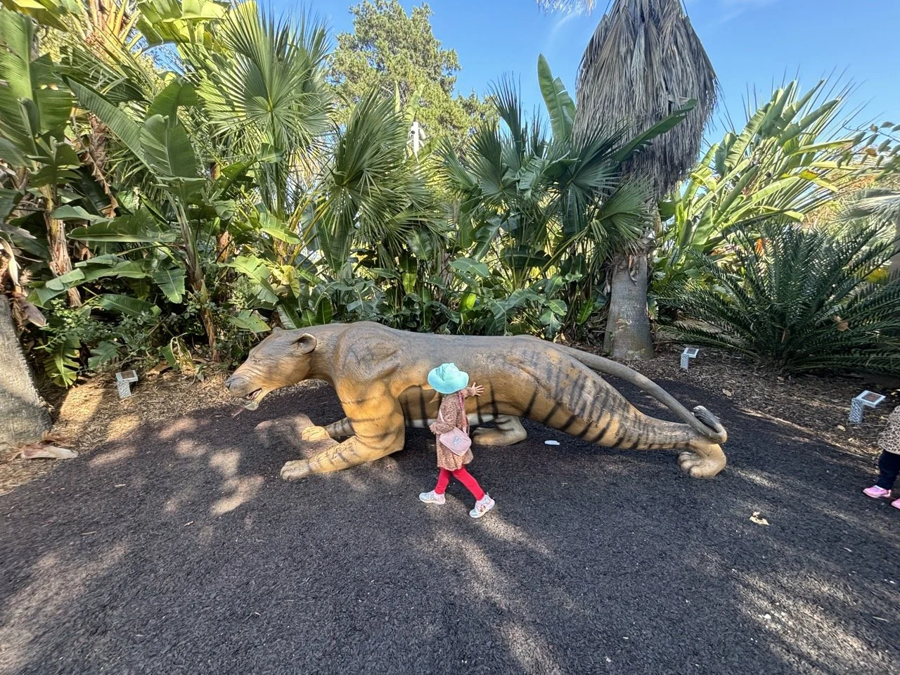 San Diego Zoo Dino play area sabertooth tiger.jpeg
