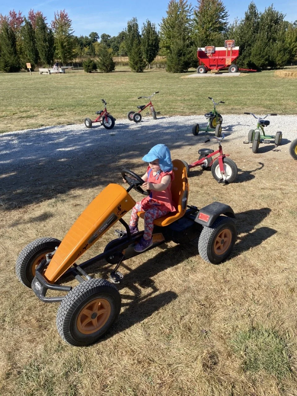 Central Illinois-Raiders Farm-Carts.jpeg