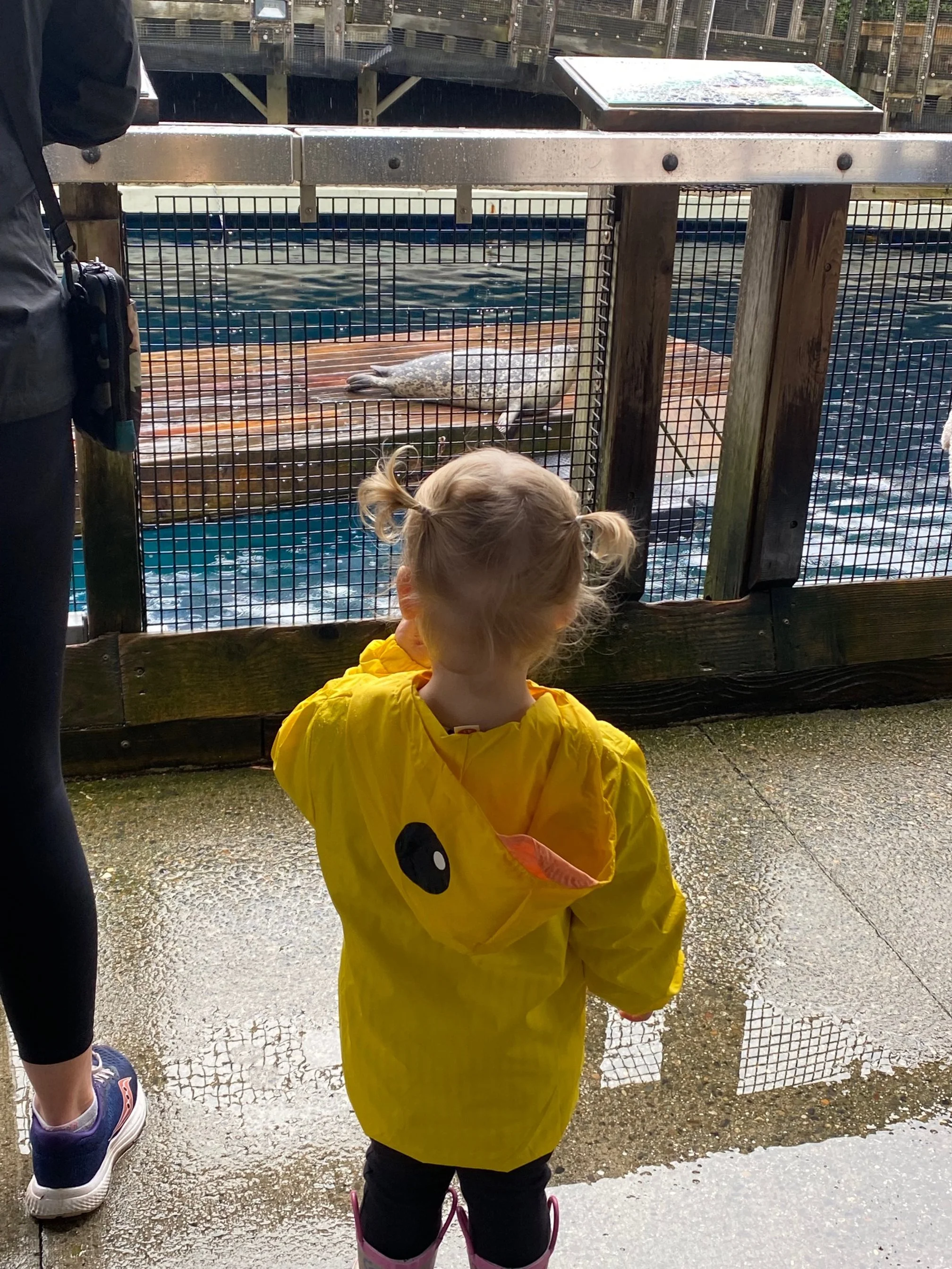 Vancouver Aquarium-Little Duck.jpg