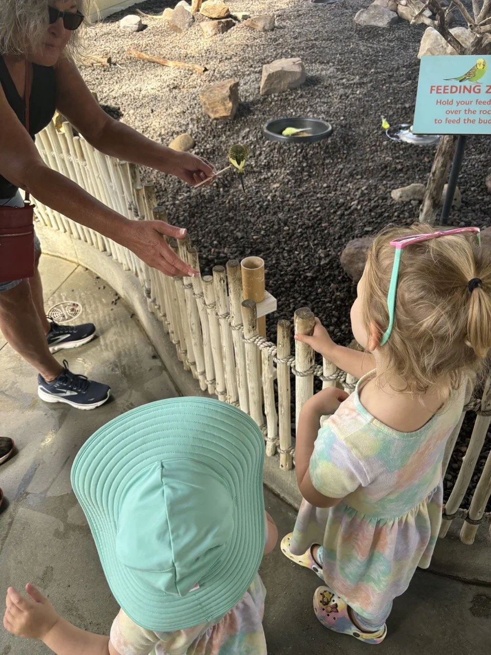 Indianapolis Zoo-Lorakeet Feeding.jpeg