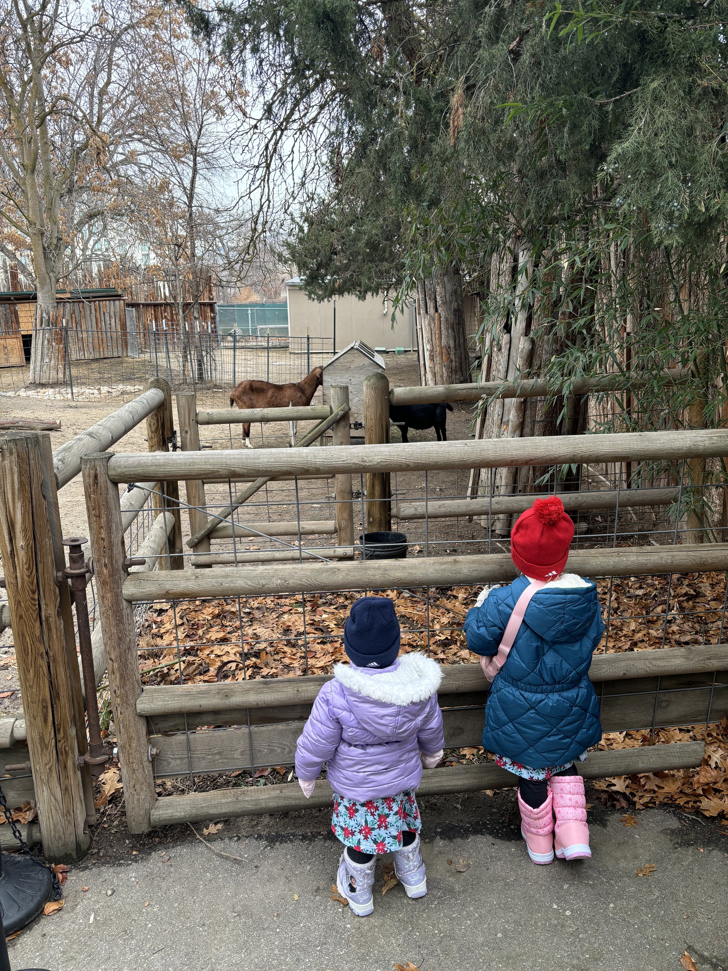 Zoo boise Sisters.jpeg