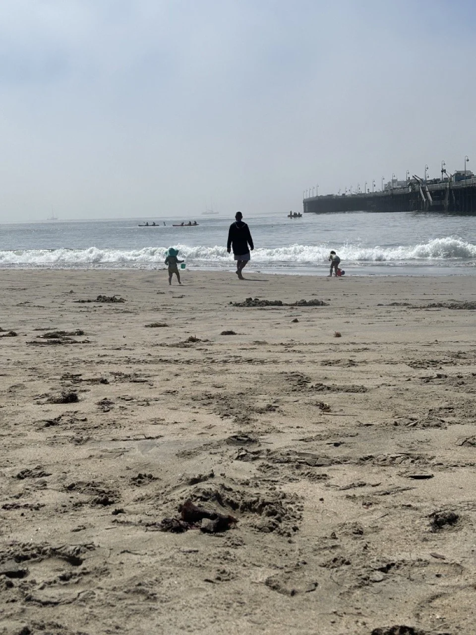 Santa Cruz Family Beach.jpeg