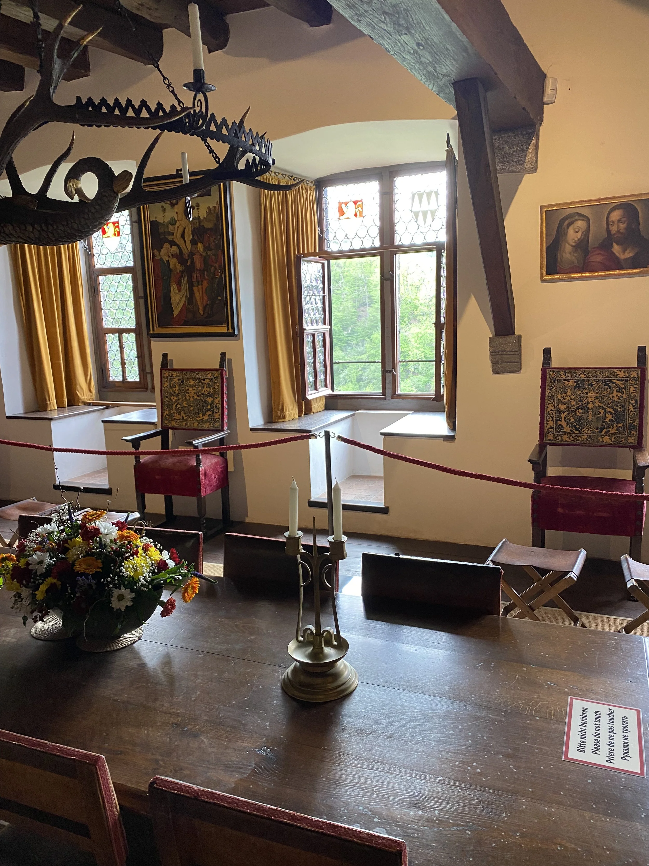 Rhine River-Germany-Castle Tour.jpeg