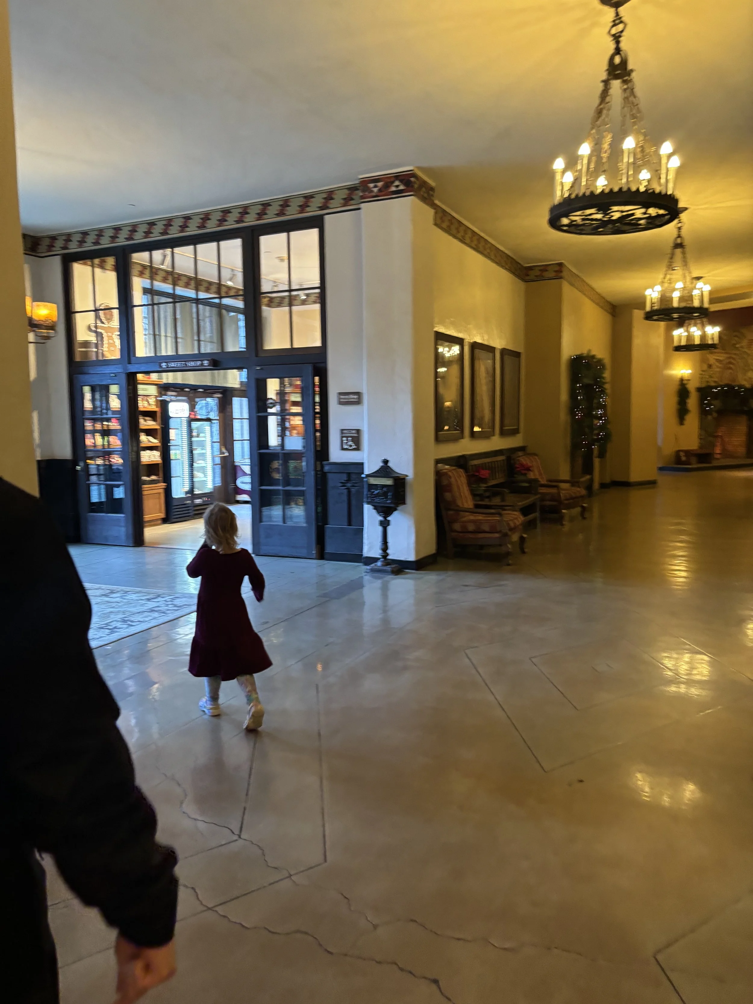 Yosemite Awhanee Hotel Candy Shop.jpeg