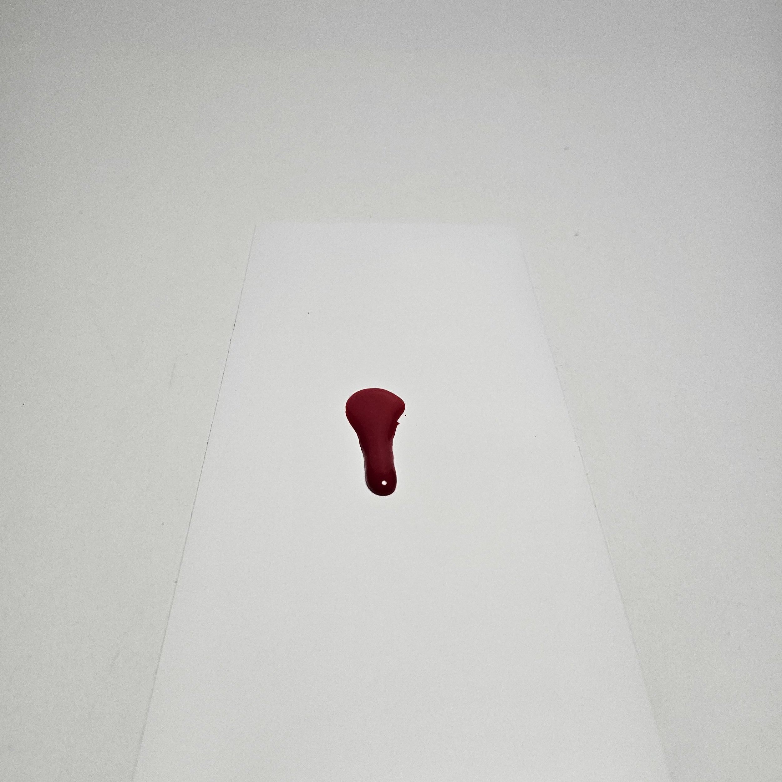 20231107_144900.jpg