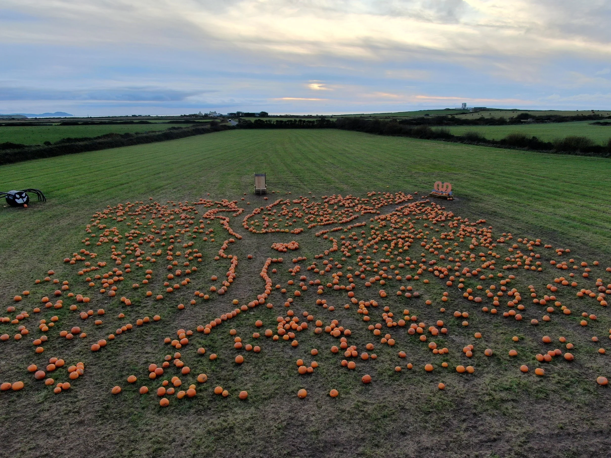 A field decorated with numerous small orange pumpkins arranged in patterns, with a central wooden cart, a black gardening tool on the left, and a sign with the number 20 and a pumpkin on the right. The landscape includes rolling green hills and a cloudy sky.