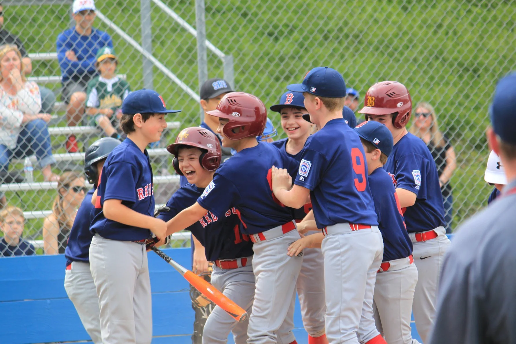 Divisions — San Ramon Valley Little League