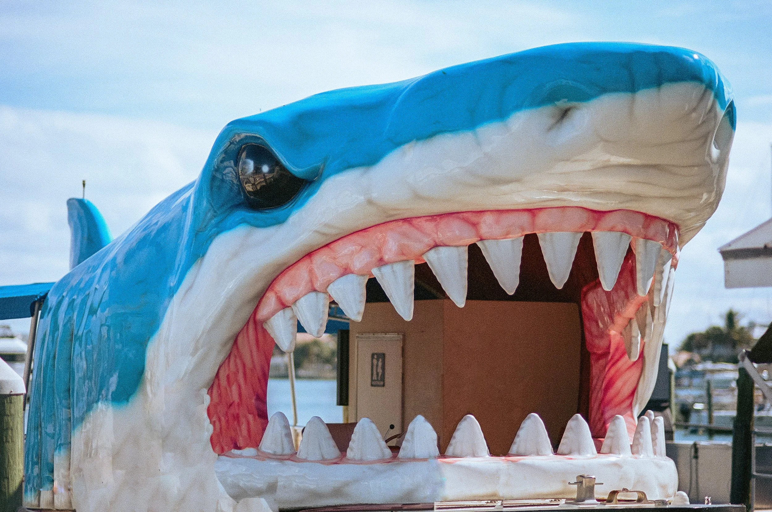 Postcards From Key West