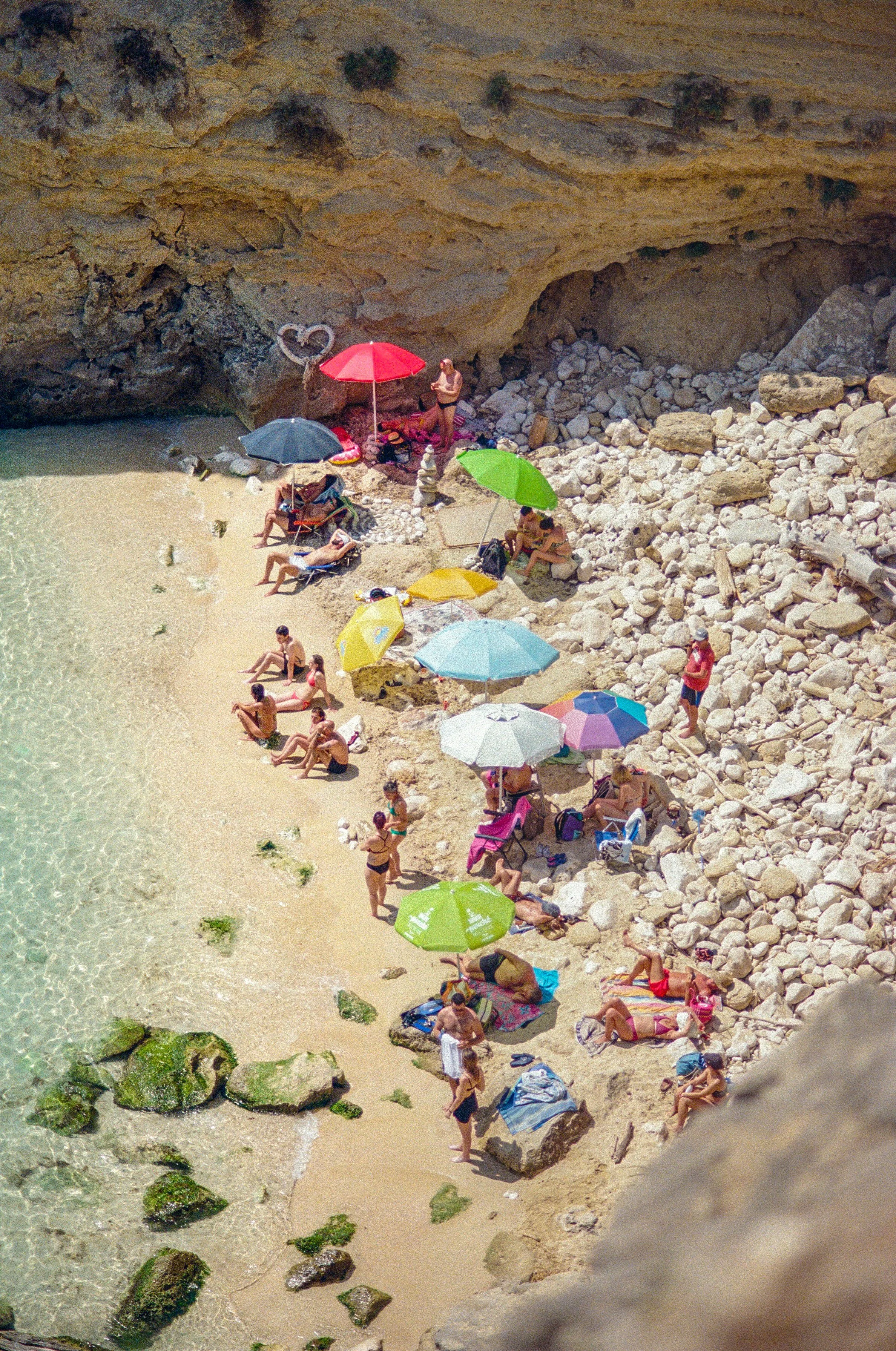 Scenes From the Summer