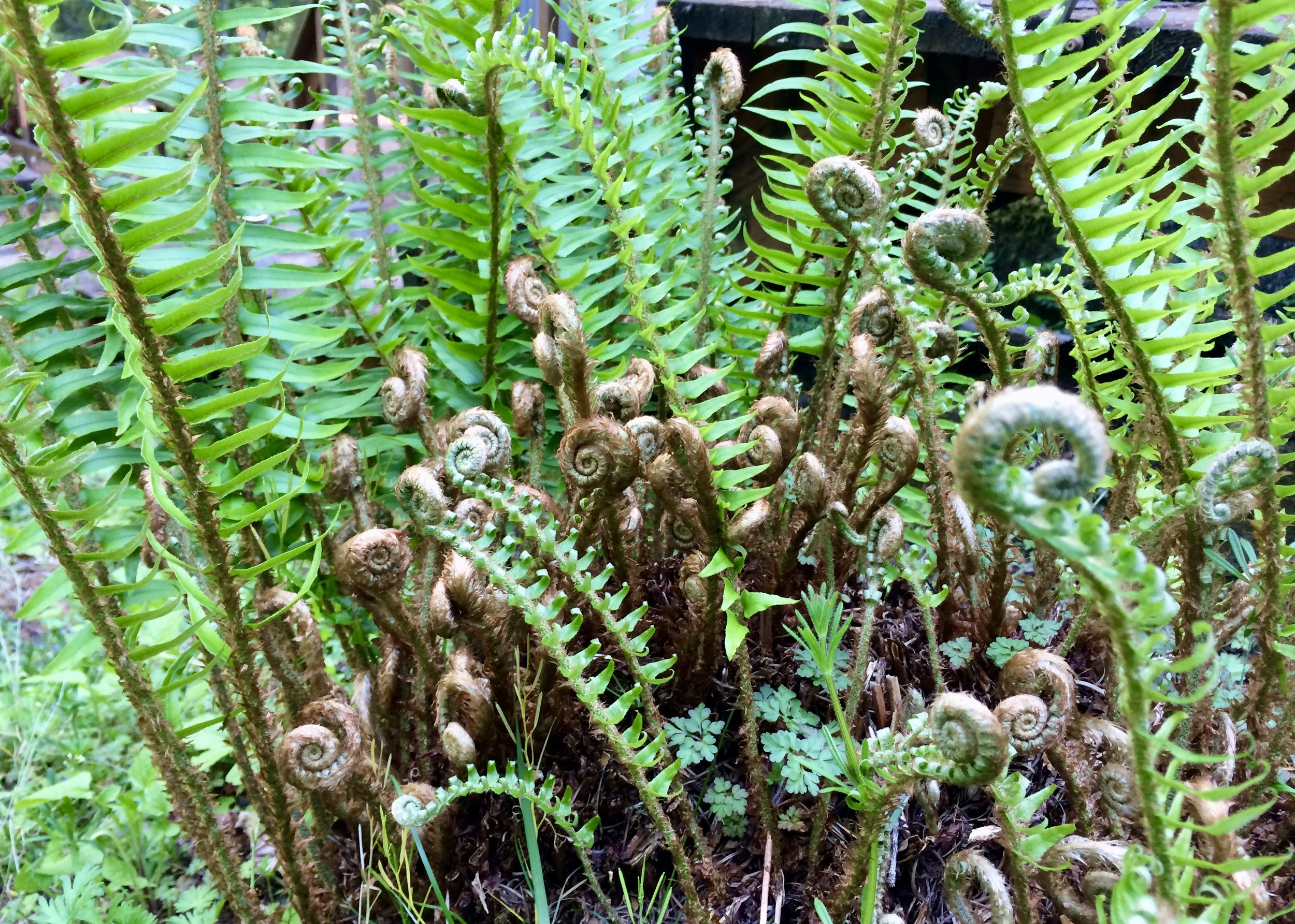 How can&nbsp;teachers be&nbsp;the change they wish to see in the world?