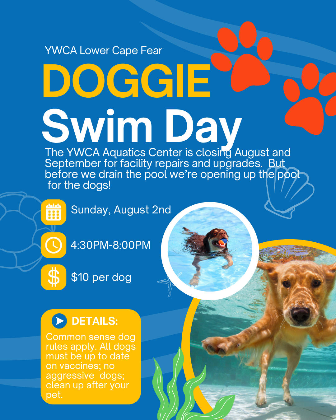 Doggie Swim Day