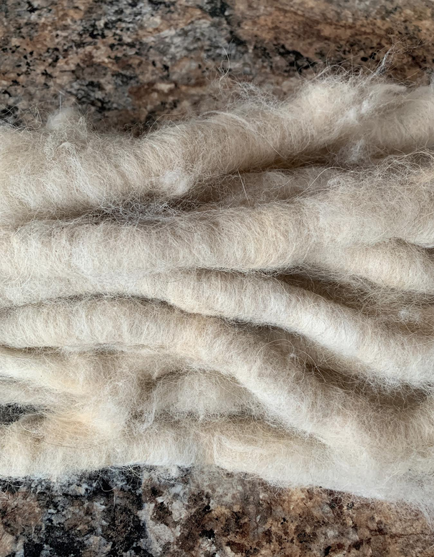 Screen Shot 2026-04-19 at 1.48.57 PM.png