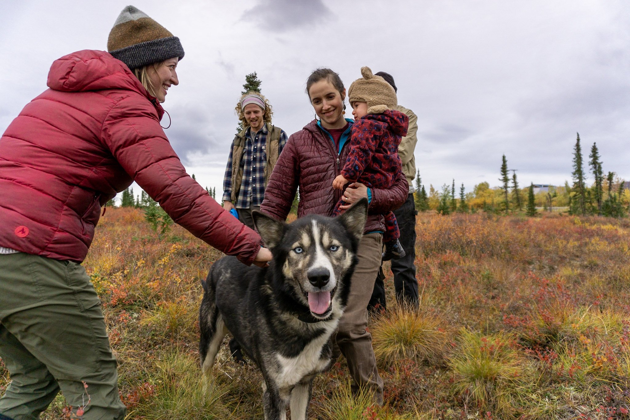 A group of people representing all ages and genders pet an Alaskan husky sled dog that was born in Denali National Park