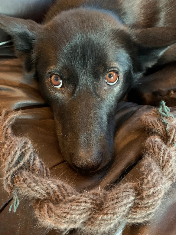 Screen Shot 2026-04-19 at 8.18.35 PM.png