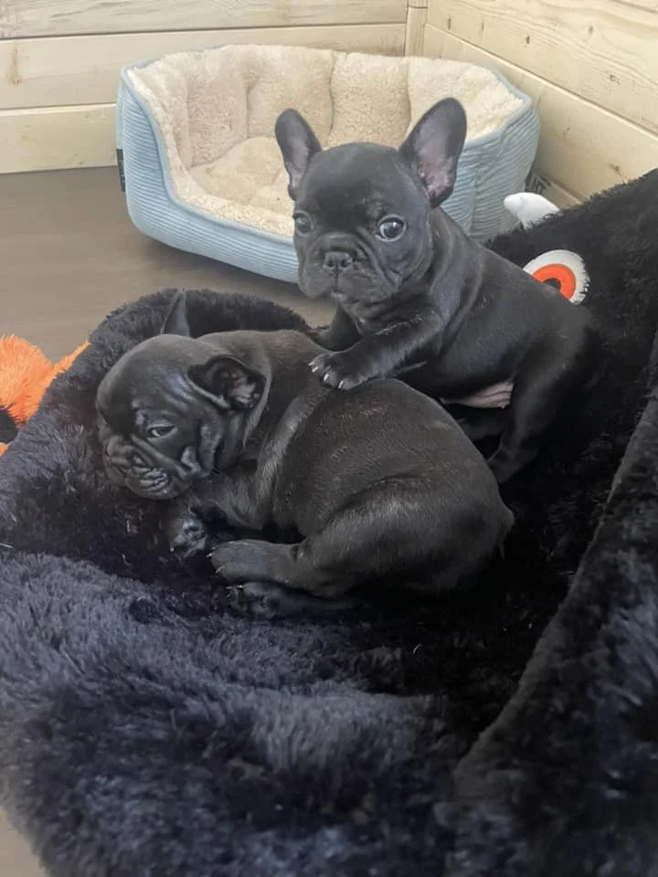 Barbie and Snoop.jpg