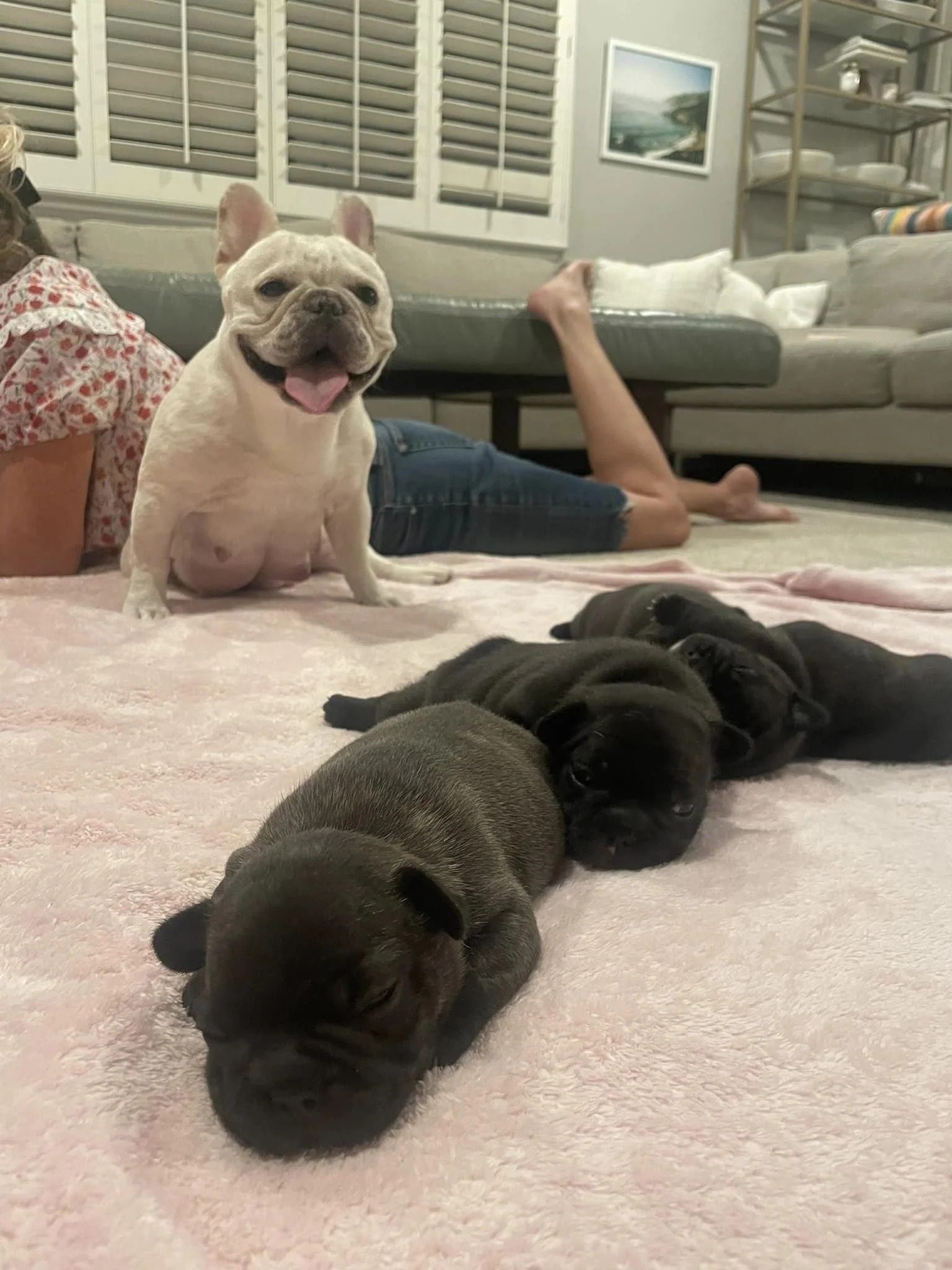 Becky and Her Puppies2.jpg