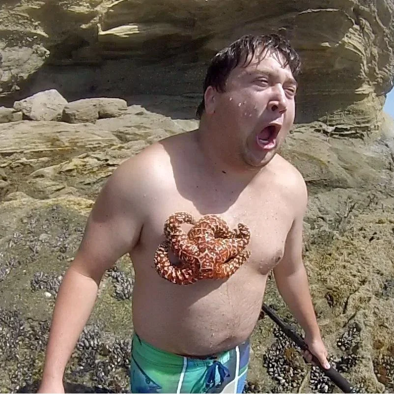 Getting milked by sea star.jpg